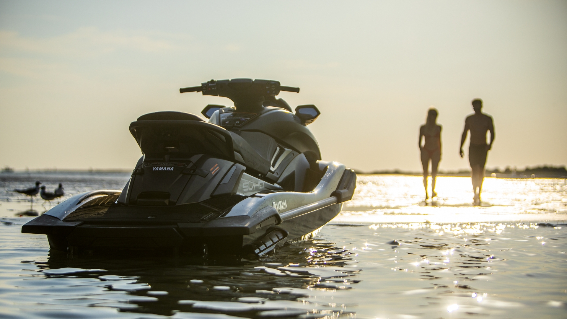 Гидроцикл Yamaha FX SVHO Yamaha FX SVHO, Водный мотоцикл Yamaha FX SVHO, гидроцикл Yamaha FX SVHO, Yamaha FX