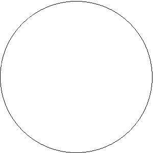 White White