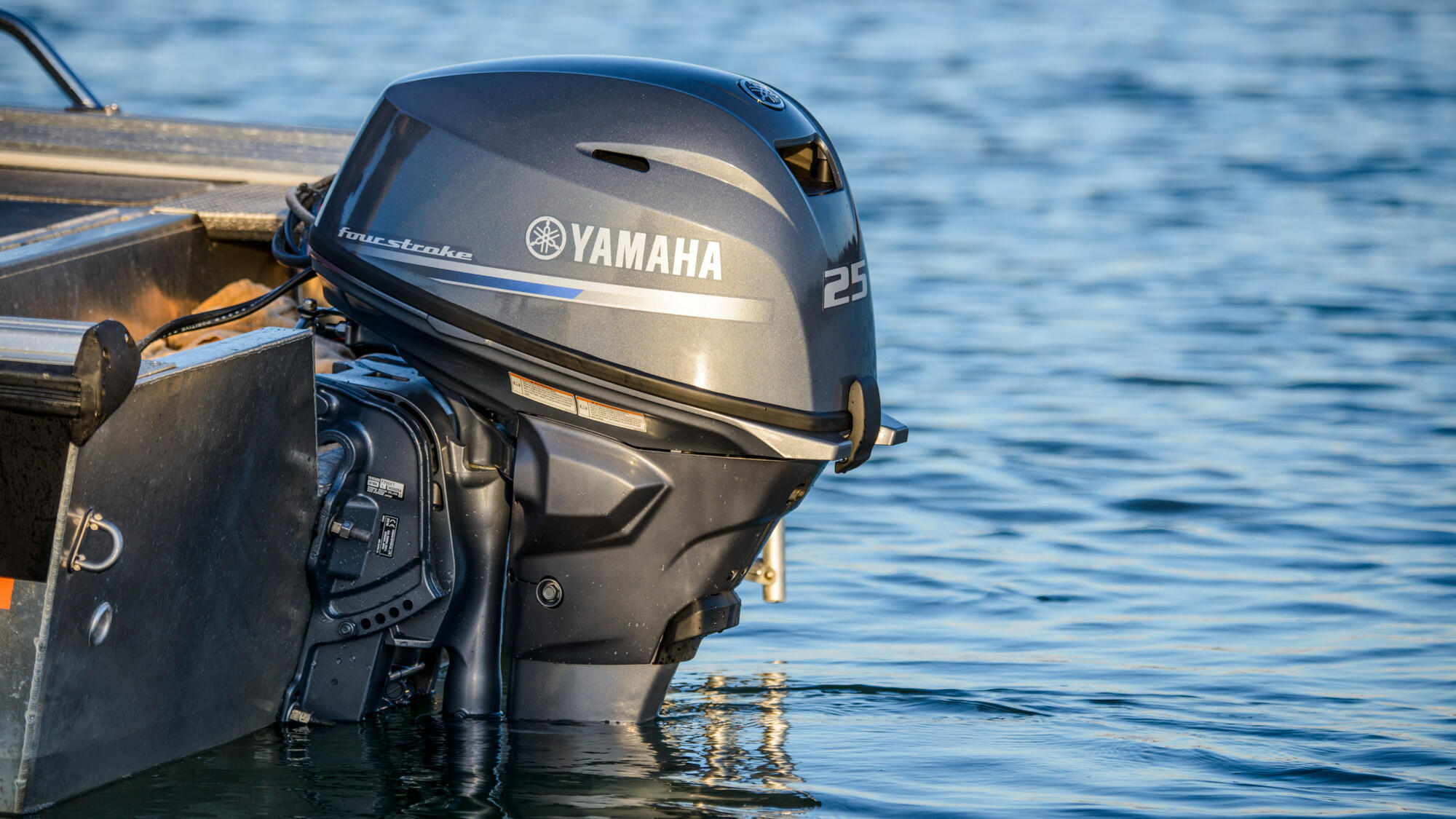 Четырёхтактный подвесной лодочный мотор YAMAHA F25LC (F25GETL) Подвесной лодочный мотор YAMAHA F25GETL, лодочный мотор YAMAHA F25GETL, лодочный мотор YAMAHA F25G, YAMAHA F25GETL, YAMAHA F25G, YAMAHA F25, ямаха 25, Ямаха Ф25, Yamaha F25LC, Підвісний човновий мотор Yamaha F25LC, човновий мотор Yamaha F25LC, човновий двигун Yamaha F25LC