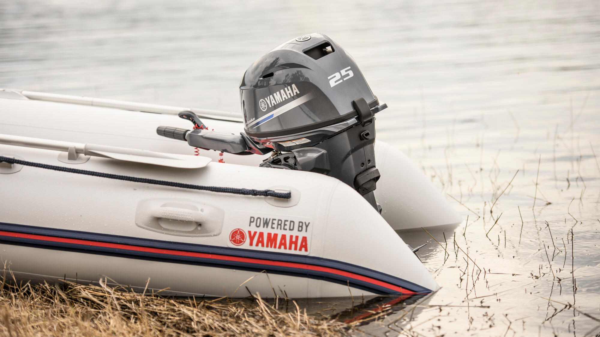 Четырёхтактный подвесной лодочный мотор YAMAHA F25SMHC (F25GMHS) Подвесной лодочный мотор YAMAHA F25GMHS, лодочный мотор YAMAHA F25GMHS, YAMAHA F25GMHS, лодочный мотор YAMAHA F25G, YAMAHA F25G, YAMAHA F25, Ямаха 25, Ямаха Ф25, Yamaha F25SMHC, Підвісний човновий мотор Yamaha F25SMHC, човновий мотор Yamaha F25SMHC, човновий двигун Yamaha F25SMHC